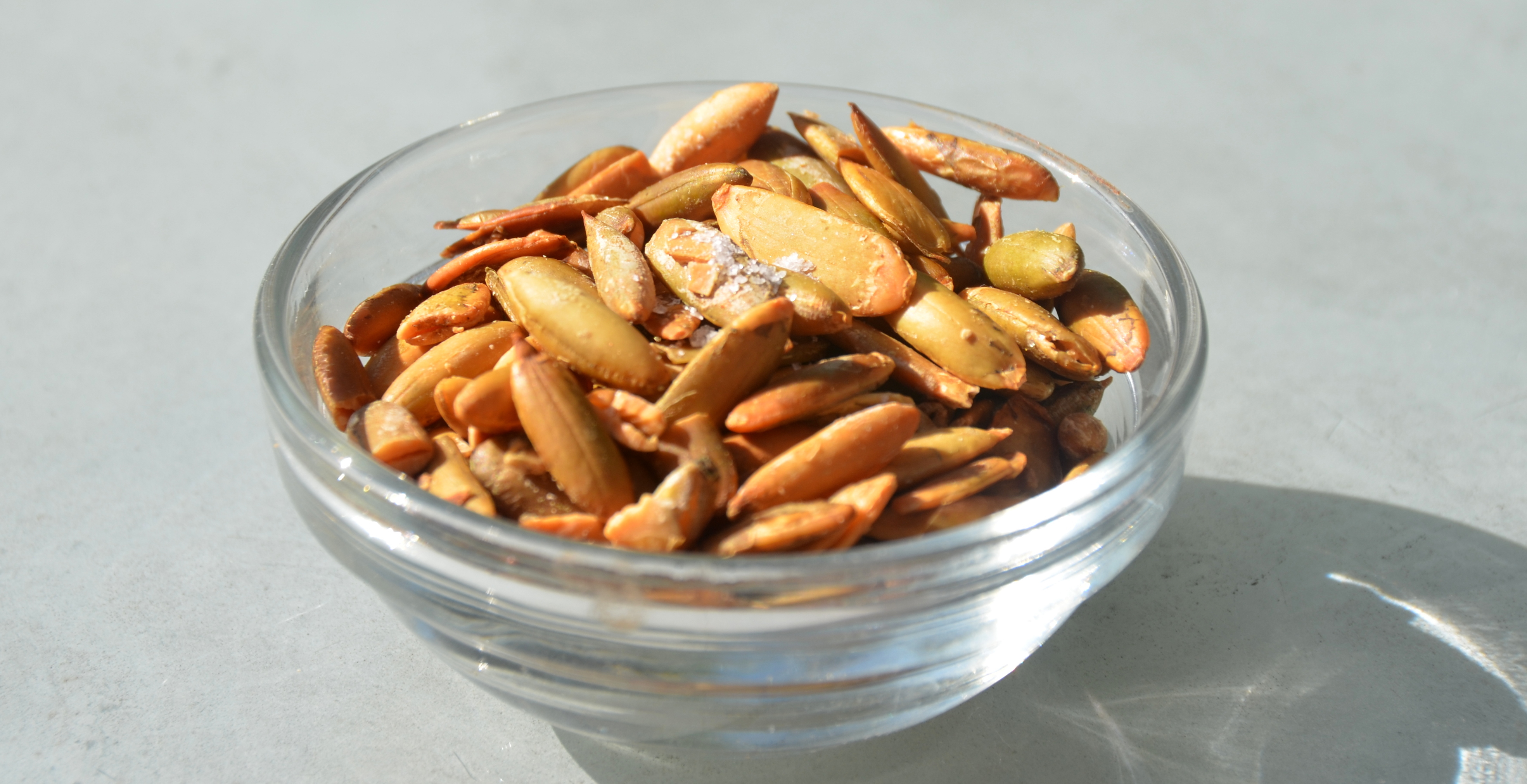 salt and vinegar pumpkin seed recipe